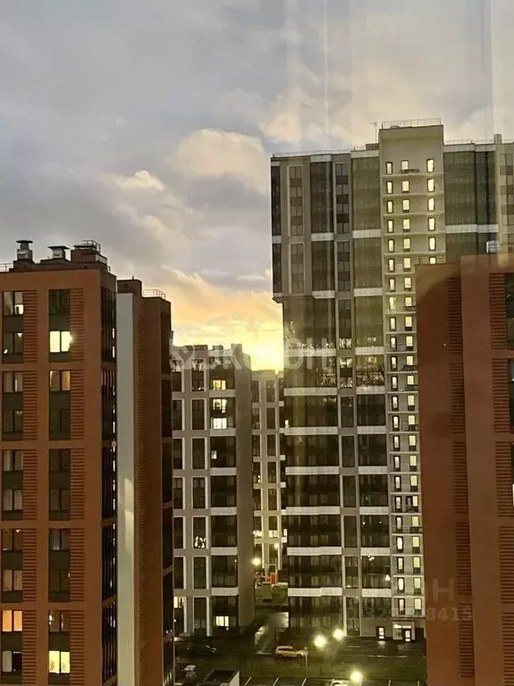 Студия Санкт-Петербург аллея Арцеуловская, 21 (24.5 м) - Фото 1