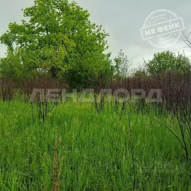 Участок в Ростовская область, Новочеркасск Виноградная Лоза СНТ,  (6.6 ... - Фото 0