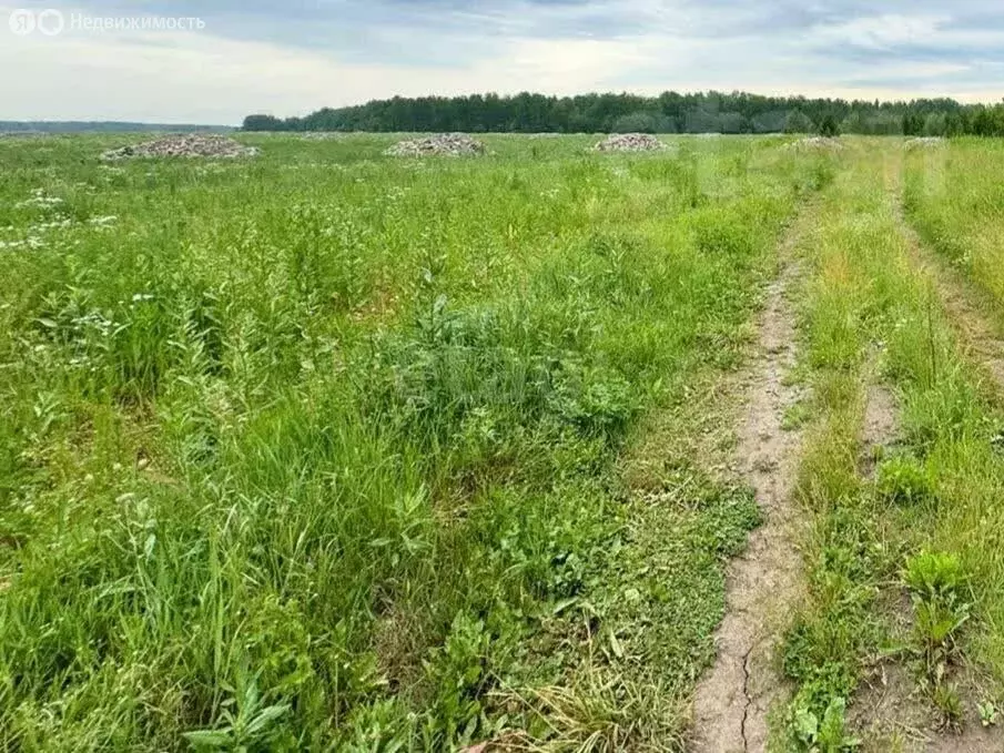 Участок в Тюменский район, село Горьковка (11.42 м) - Фото 0