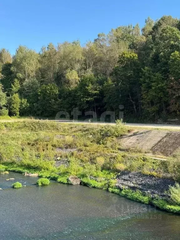 Участок в Калужская область, Боровск ул. Максима Горького, 16 (24.0 ... - Фото 2