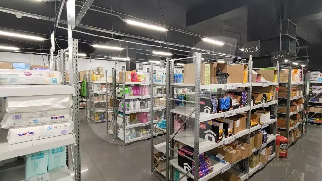 Офис в Москва Кутузовский просп., 88 (1500 м) - Фото 2