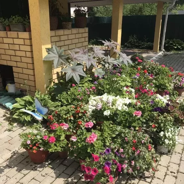 Коттедж в Пермский край, Пермь Ново-Бродовский жилрайон, ул. Кленовая, ... - Фото 1