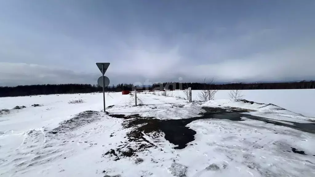 Участок в Сахалинская область, Анивский городской округ, с. Мицулевка ... - Фото 2