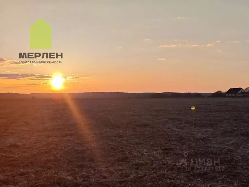 Участок в Калужская область, Дзержинский муниципальный округ, с. ... - Фото 2