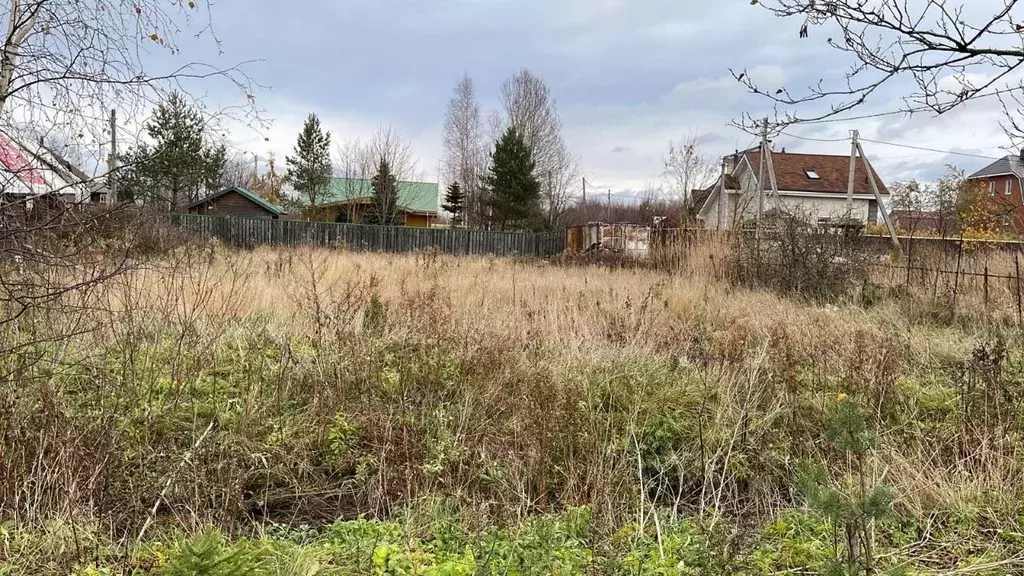 Участок в Санкт-Петербург, Санкт-Петербург, Сестрорецк Разлив СНТ, ... - Фото 1