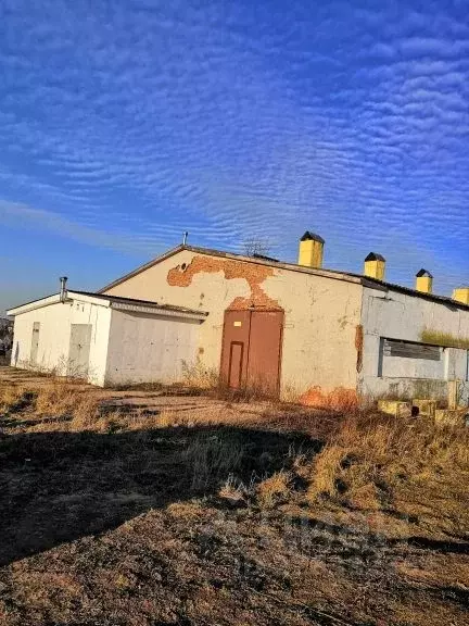 Помещение свободного назначения в Калужская область, с. Совхоз ... - Фото 2