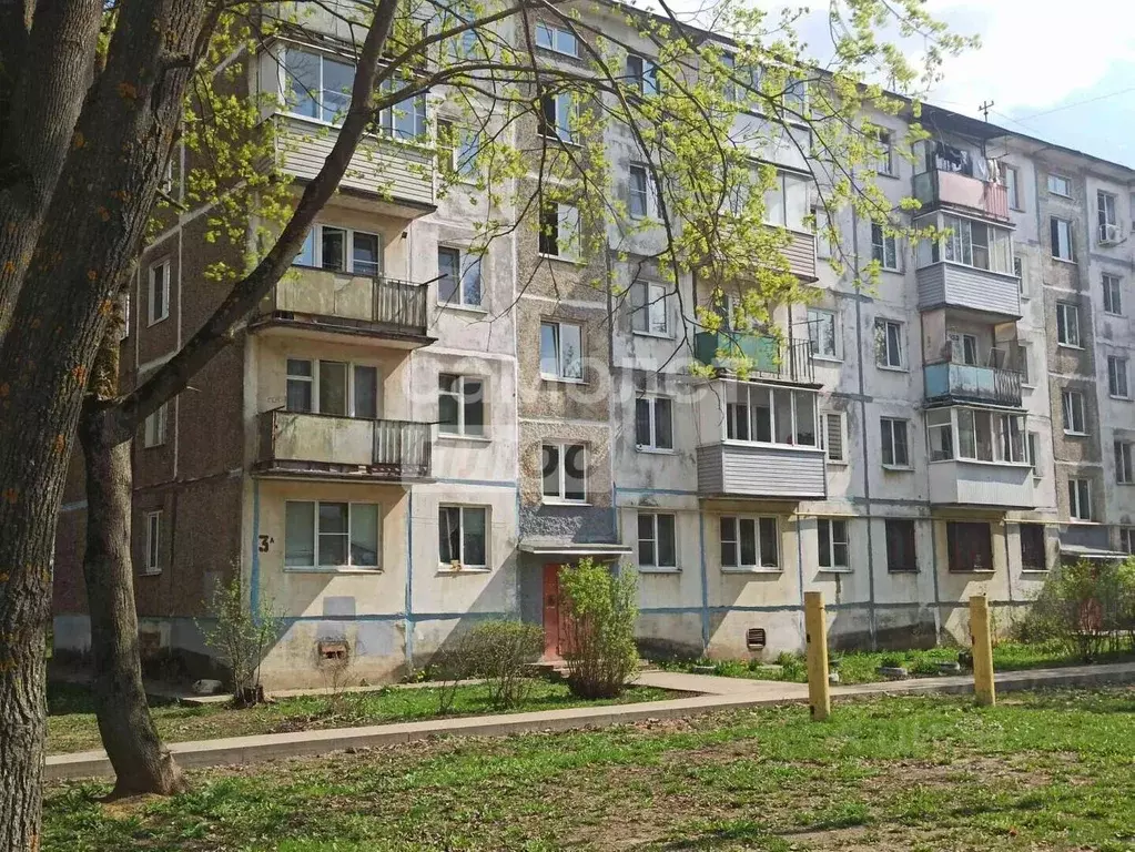 2-к кв. Московская область, Воскресенск Лопатинский мкр, ул. ... - Фото 1