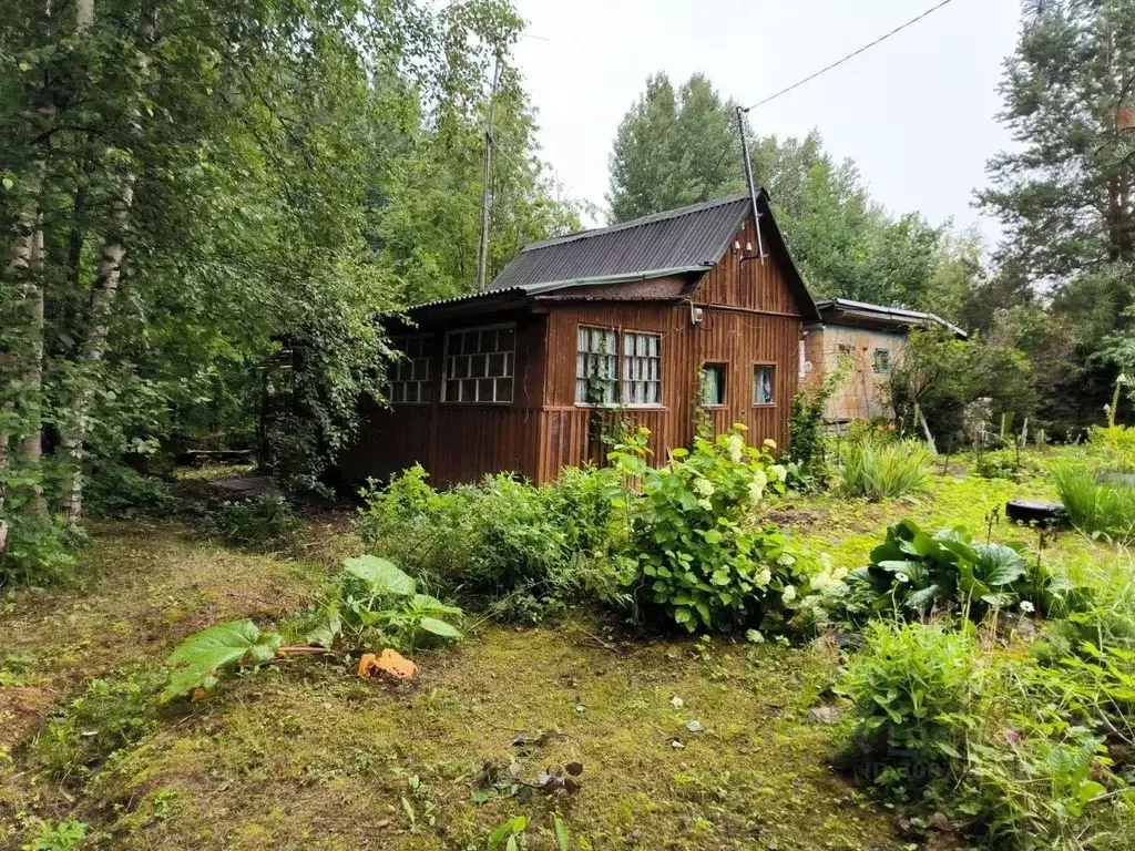 Дом в Ленинградская область, Гатчинский район, Новинка садоводческий ... - Фото 1