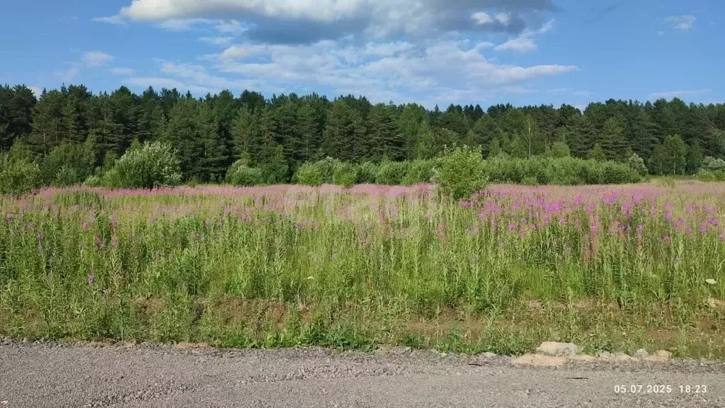 Участок в Свердловская область, Нижний Тагил ул. 70-летия Победы ... - Фото 1