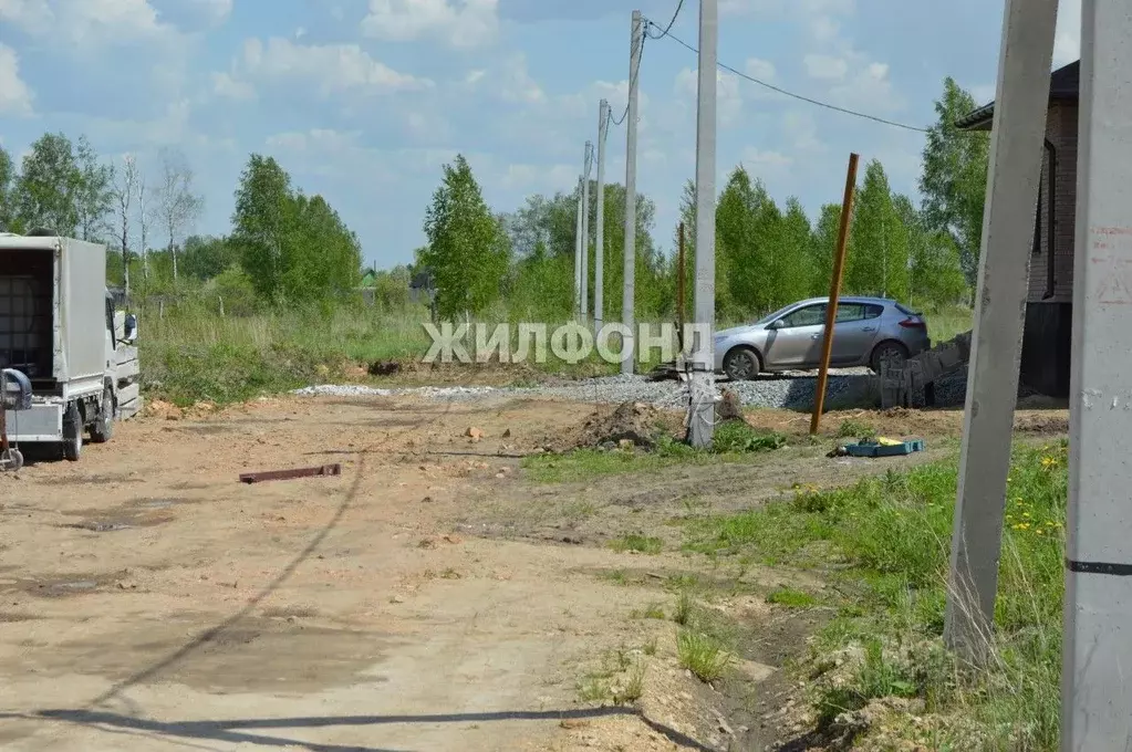 Участок в Новосибирская область, Новосибирский район, Станционный ... - Фото 1