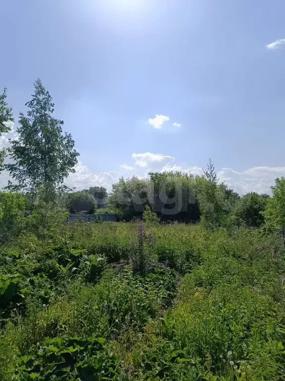 Участок 6,4 сот. (СНТ, ДНП) - Фото 0