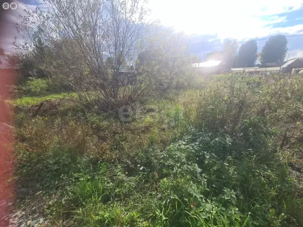 Участок в Новосибирский район, село Раздольное (20 м) - Фото 0