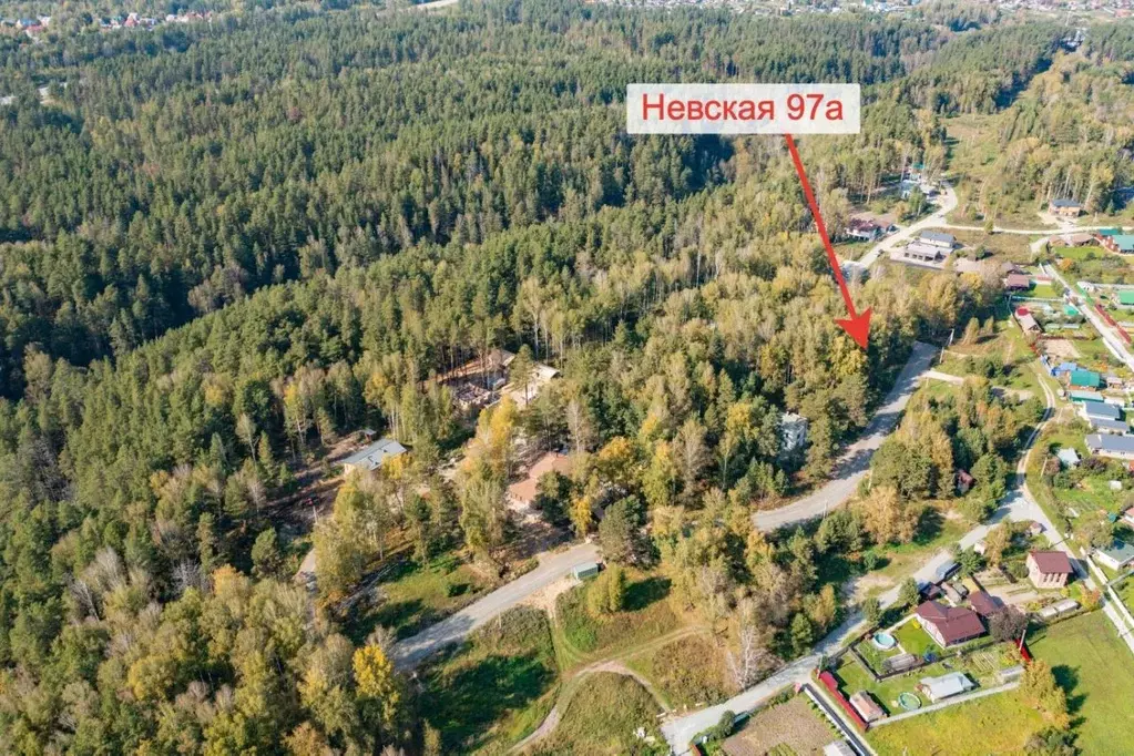 Участок в Новосибирская область, Новосибирский район, Барышевский ... - Фото 1