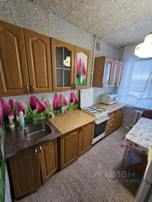 2-к кв. Омская область, Омск ул. 5-я Северная, 191 (51.0 м) - Фото 1