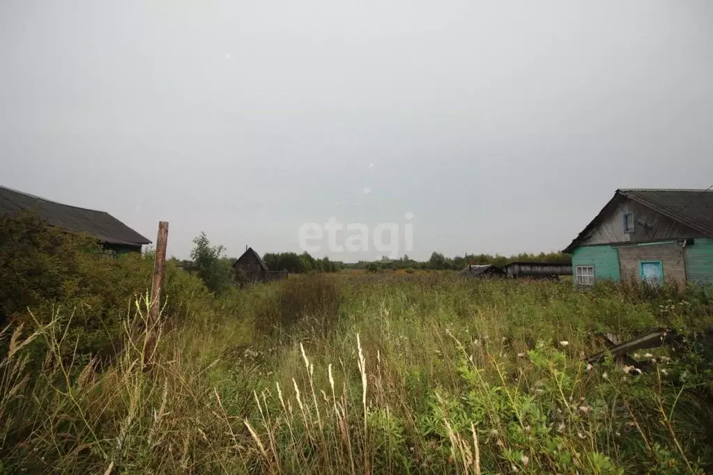 Участок в Вологодская область, Шекснинский район, Железнодорожное ... - Фото 0