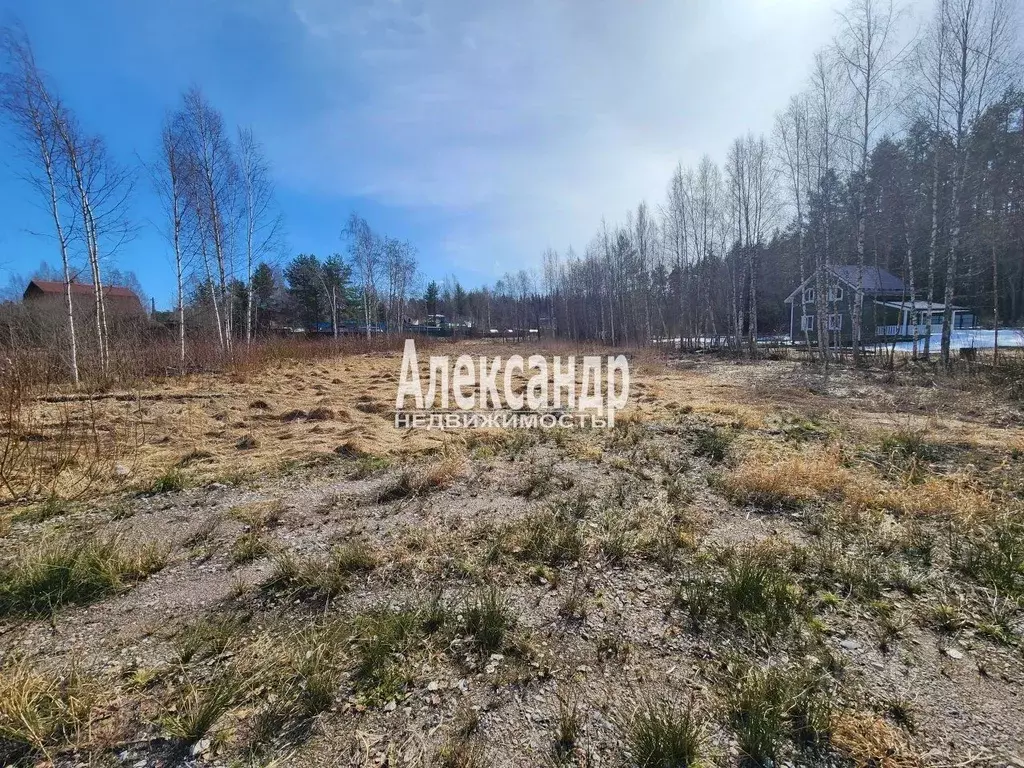 Участок в Ленинградская область, Приозерский район, Ларионовское ... - Фото 0