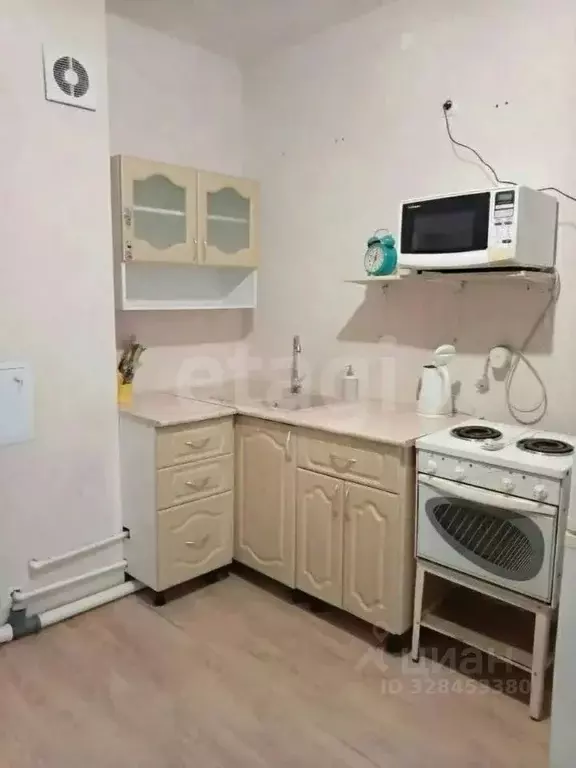 Студия Пермский край, Пермь ул. Космонавта Беляева, 61В (30.0 м) - Фото 2