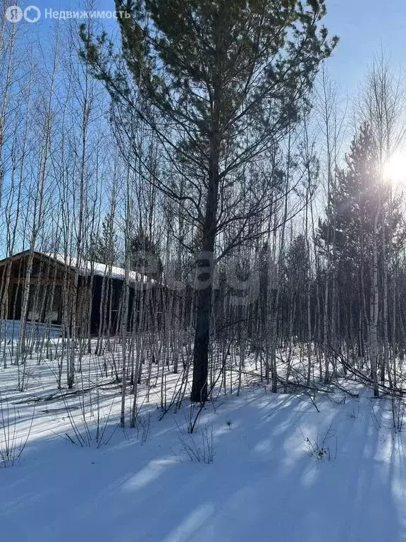 Участок в Челябинская область, Аргаяшский муниципальный округ, ТСН ... - Фото 2