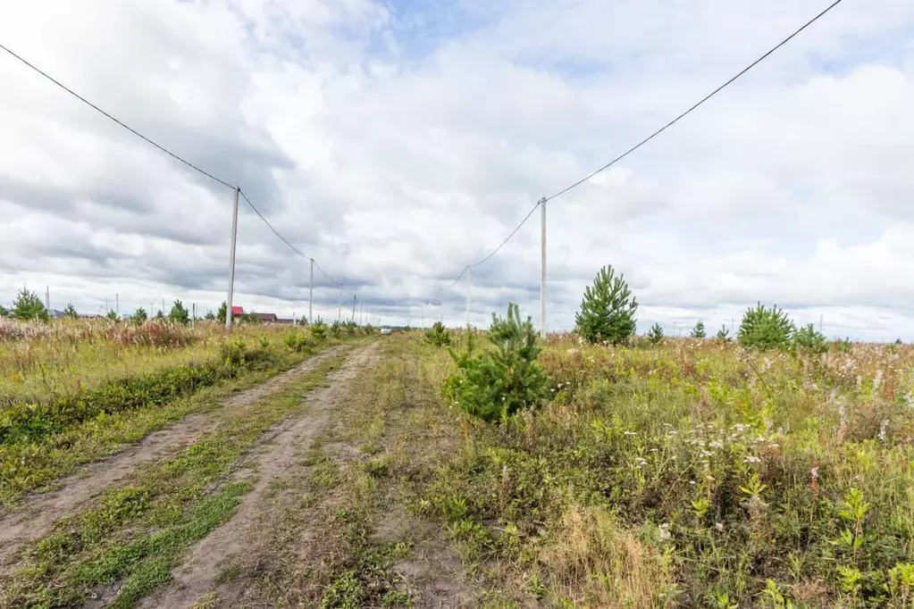 Участок в Тюменская область, Тюменский муниципальный округ, д. Елань, ... - Фото 1