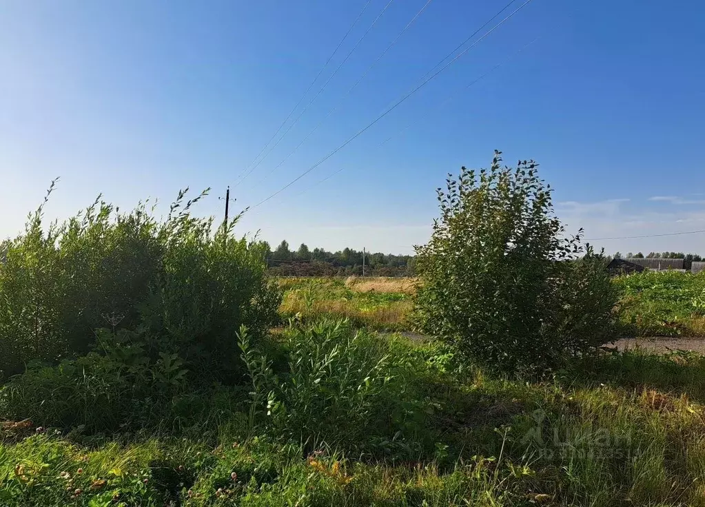 Участок в Московская область, Пушкинский городской округ, д. Луговая  ... - Фото 2