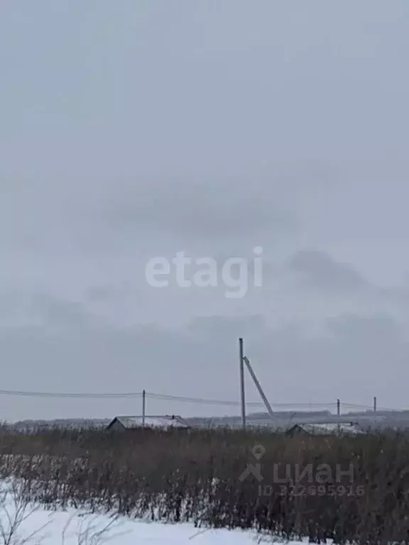 Участок в Белгородская область, Белгородский район, Головинское с/пос, ... - Фото 1