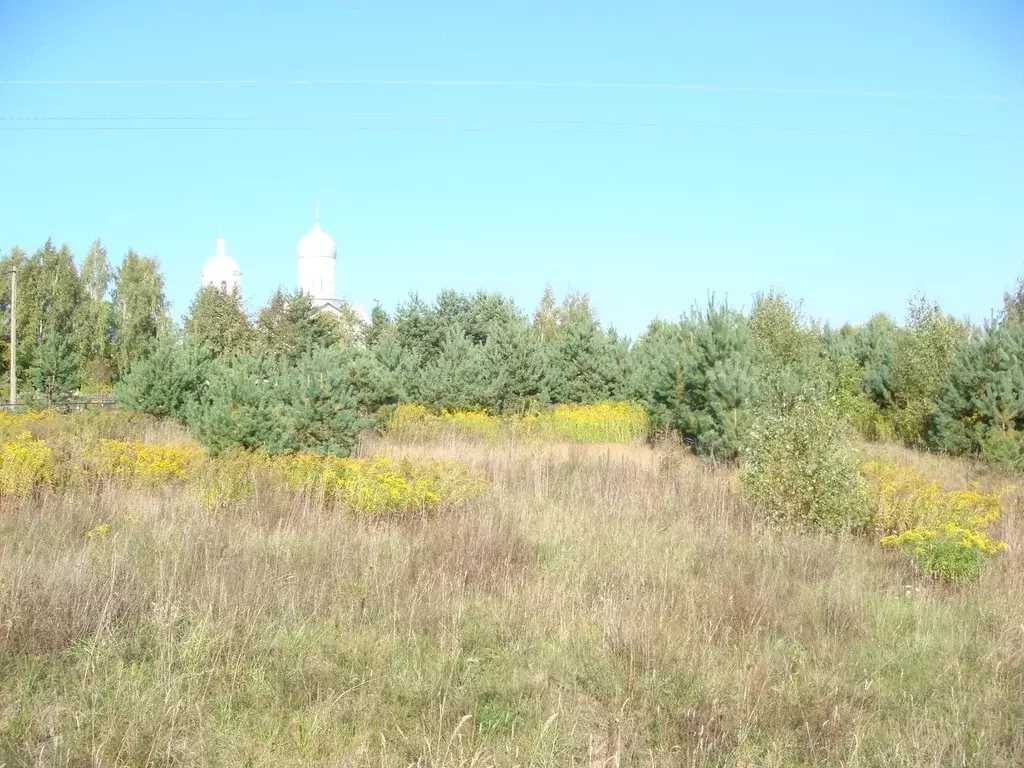 Участок в Псковская область, Печорский район, д. Моложва  (640.0 сот.) - Фото 1