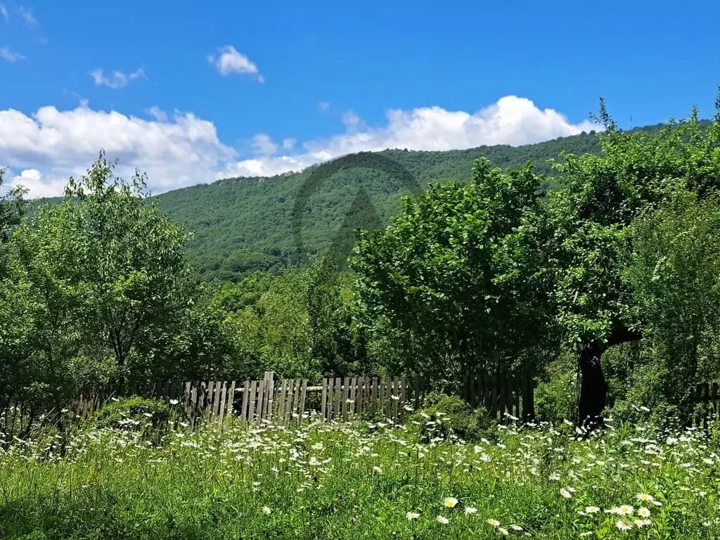 Участок в Краснодарский край, Апшеронский район, Мезмайское с/пос, ... - Фото 0