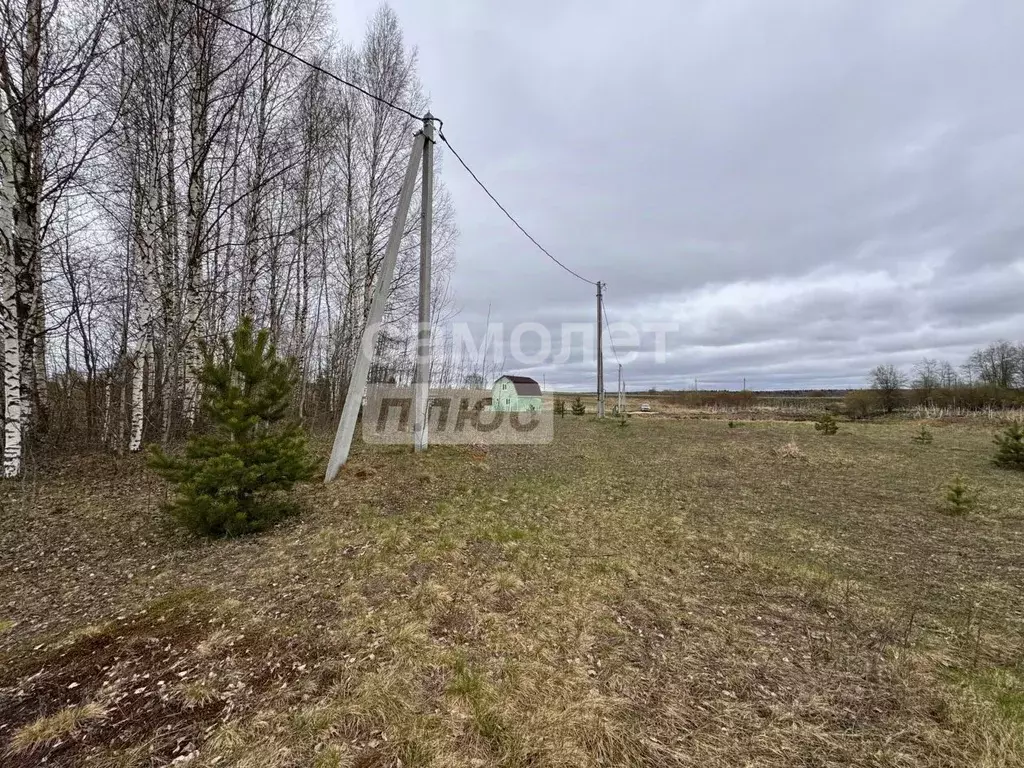 Участок в Ленинградская область, Тосненский район, Любанское городское ... - Фото 0
