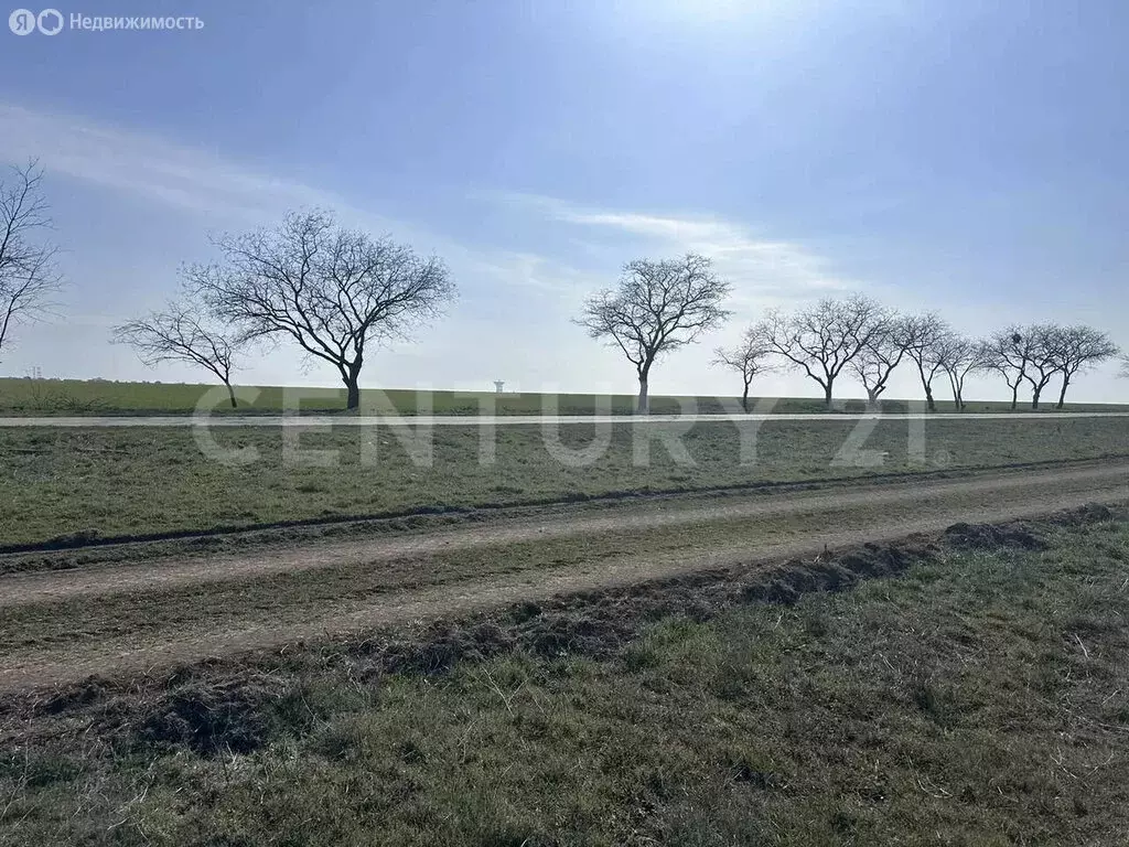 Участок в Молочное, Садовая улица (11 м) - Фото 1