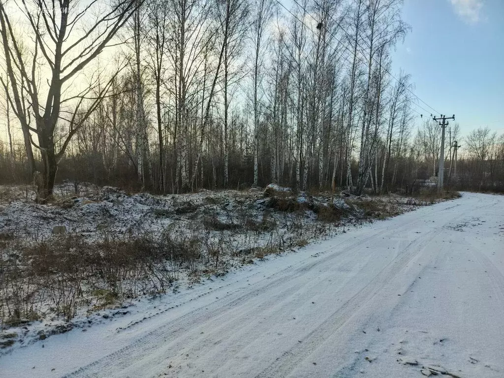 Участок в Марусино, Лесная улица (5 м) - Фото 1