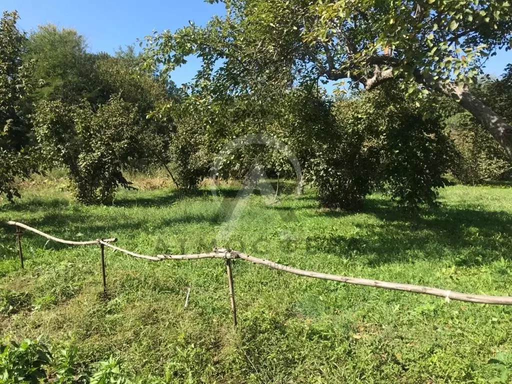 Участок в Краснодарский край, Туапсинский муниципальный округ, с. ... - Фото 2