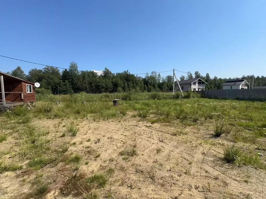 Участок в Ленинградская область, Всеволожский район, Куйвозовское ... - Фото 2