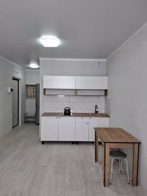Студия Оренбургская область, Оренбург Уральская ул., 2/25 (24.9 м) - Фото 2