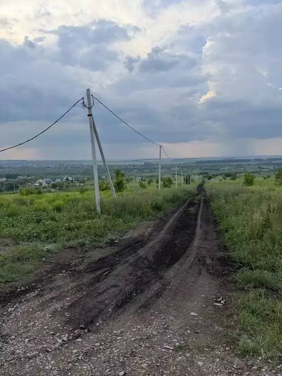 Участок в Алтайский край, Белокуриха (12 м) - Фото 1
