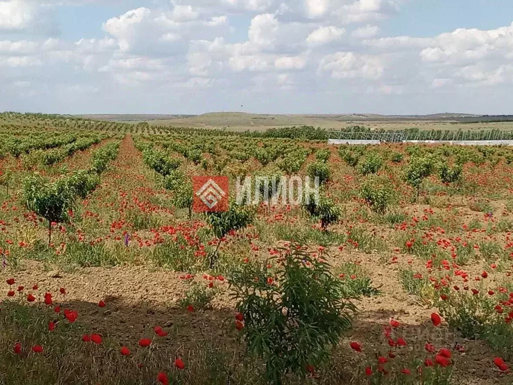 Дом в Крым, Бахчисарайский район, с. Тенистое ул. Алиме Абденнановой ... - Фото 0