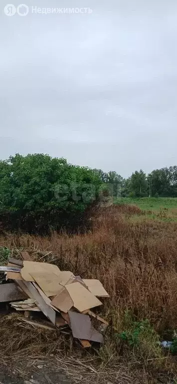 Участок в Тюменская область, Заводоуковский муниципальный округ, село ... - Фото 2