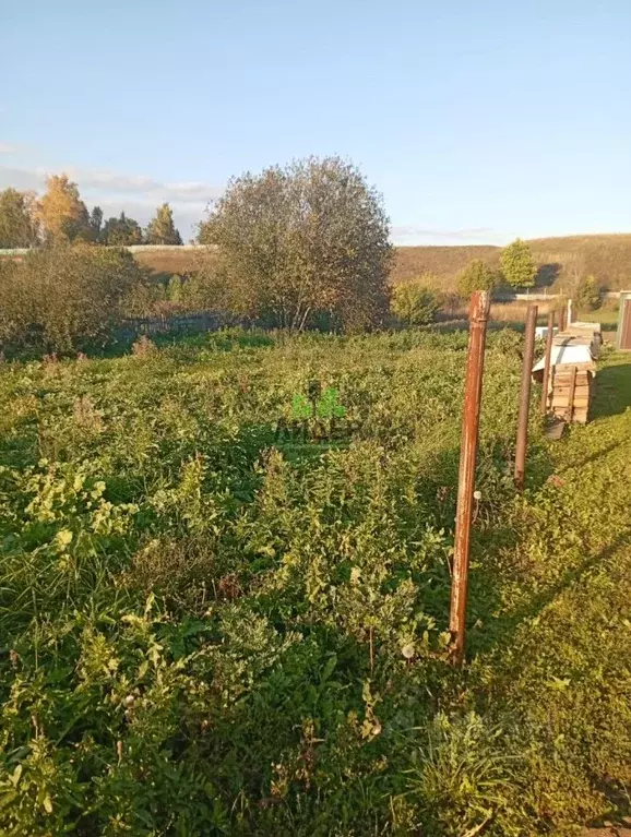 Участок в Башкортостан, Нефтекамск городской округ, с. Ташкиново ул. ... - Фото 1