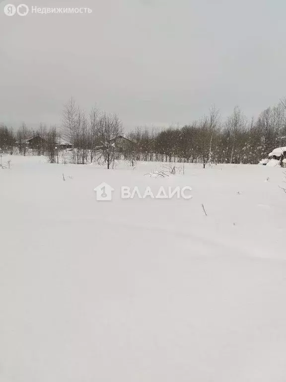 Участок в Республика Коми, муниципальный район Сыктывдинский, село ... - Фото 2