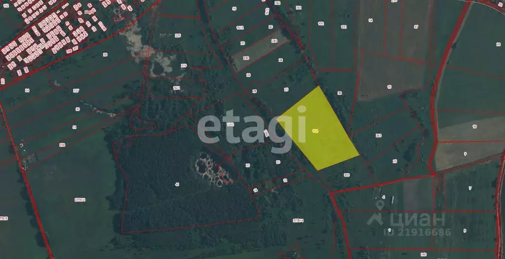 Участок в Калининградская область, Зеленоградский муниципальный округ, ... - Фото 2