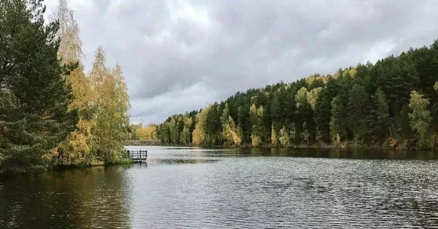 Участок в Тюменская область, Тюменский район, с. Кулига  (8.0 сот.) - Фото 1