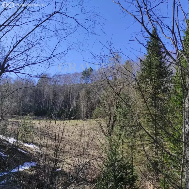 Участок в село Артыбаш, Змеиная улица (20.9 м) - Фото 1