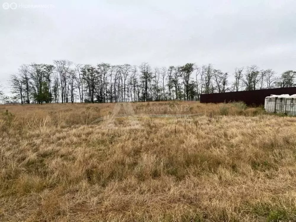 Участок в станица Курская, Прохладная улица (6 м) - Фото 1