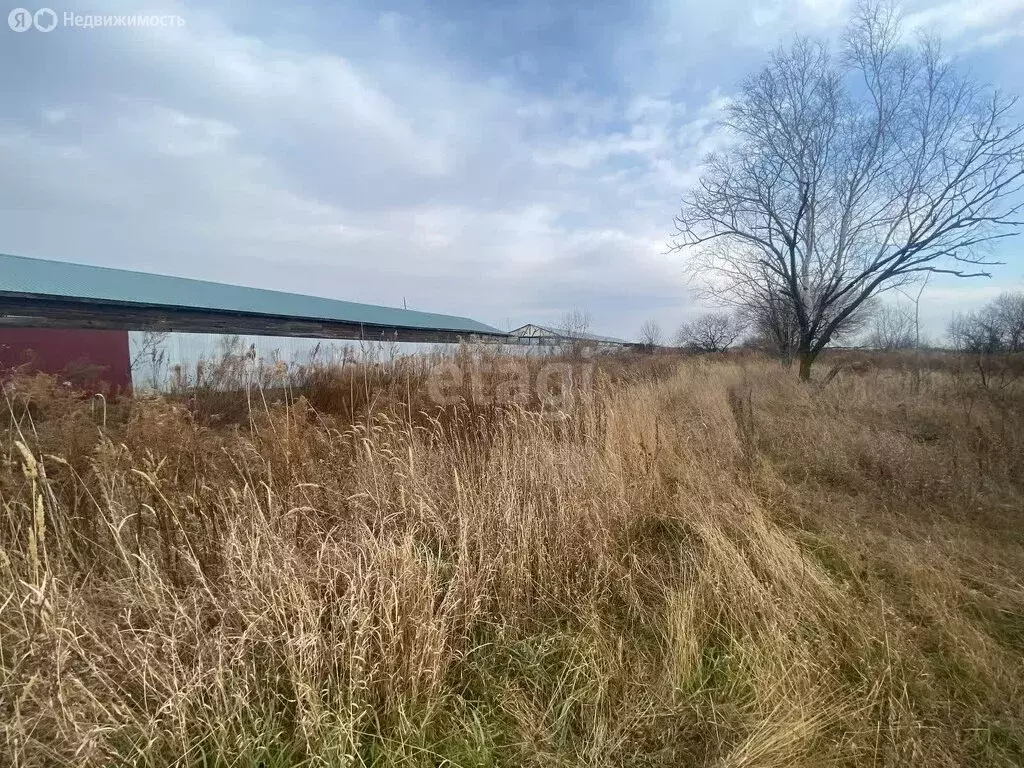 Участок в село Тополево, СНТ Ветерок (6 м) - Фото 0