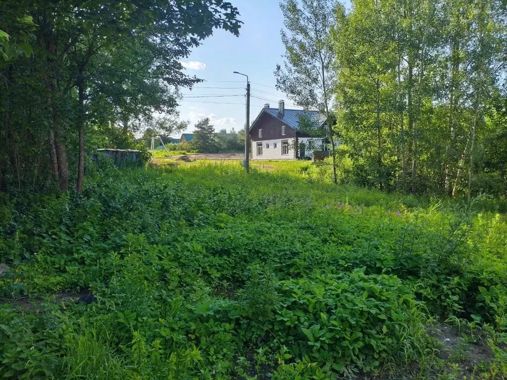 Участок в Московская область, Богородский городской округ, д. Боково  ... - Фото 1