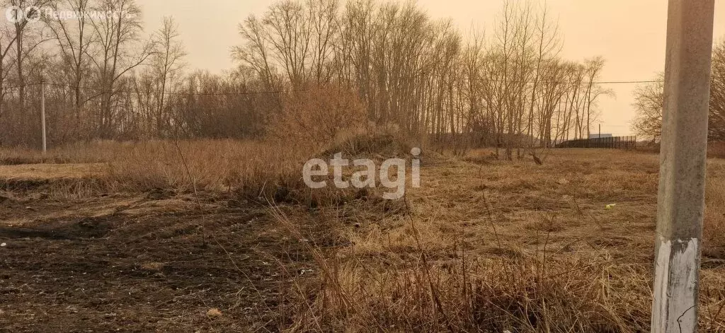 Участок в село Мизоново, улица Желомского (50 м) - Фото 0