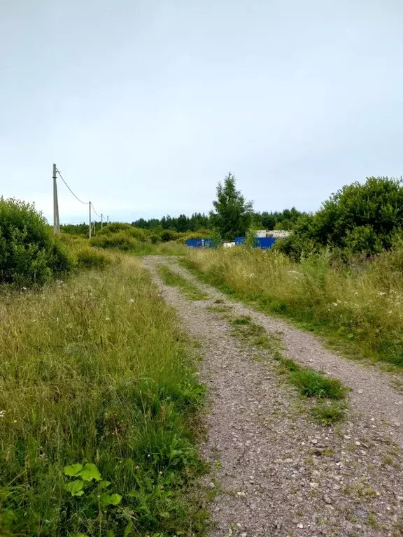 участок в новгородская область, малая вишера (12.0 сот.) - Фото 0