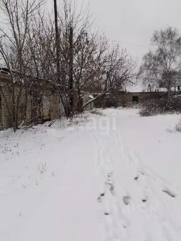 Склад в Белгородская область, Валуйки ул. Курячего, 1/61 (48 м) - Фото 0