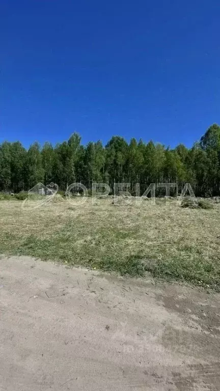 Участок в Тюменская область, Нижнетавдинский муниципальный округ, ... - Фото 2