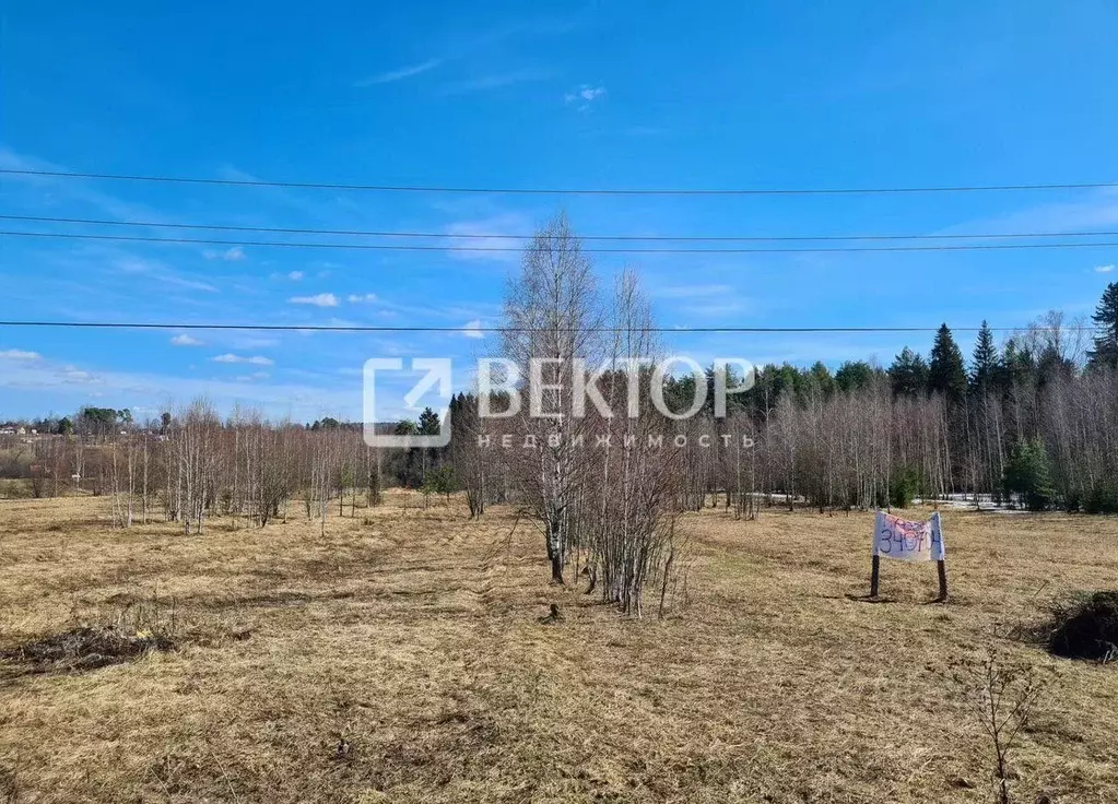 Участок в Ивановская область, Кохма ул. 2-я Застрельная, 7 (11.5 сот.) - Фото 1