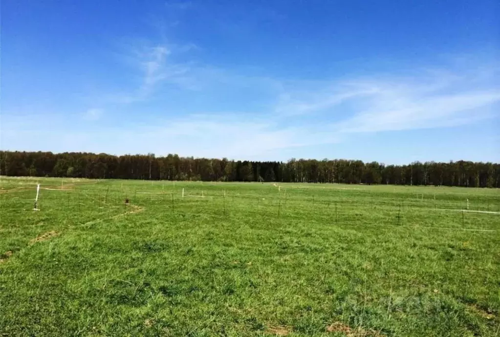 Участок в Башкортостан, Кармаскалинский район, Подлубовский сельсовет, ... - Фото 2